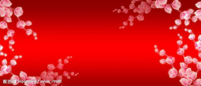 哪里能办印第安纳州  ID